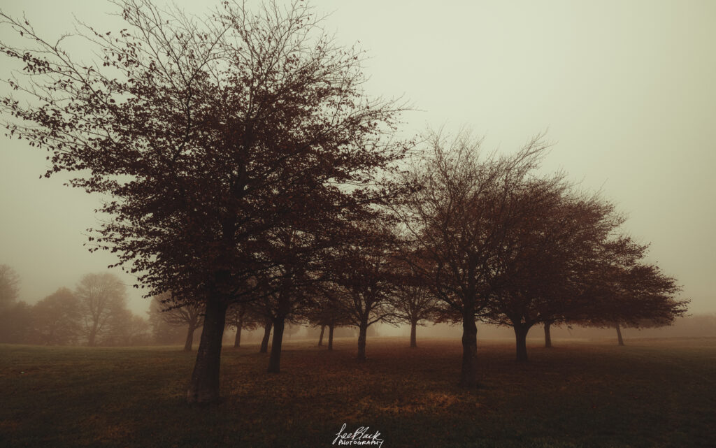 Caird-park-copy-1024x641 Wet Wet Wet...